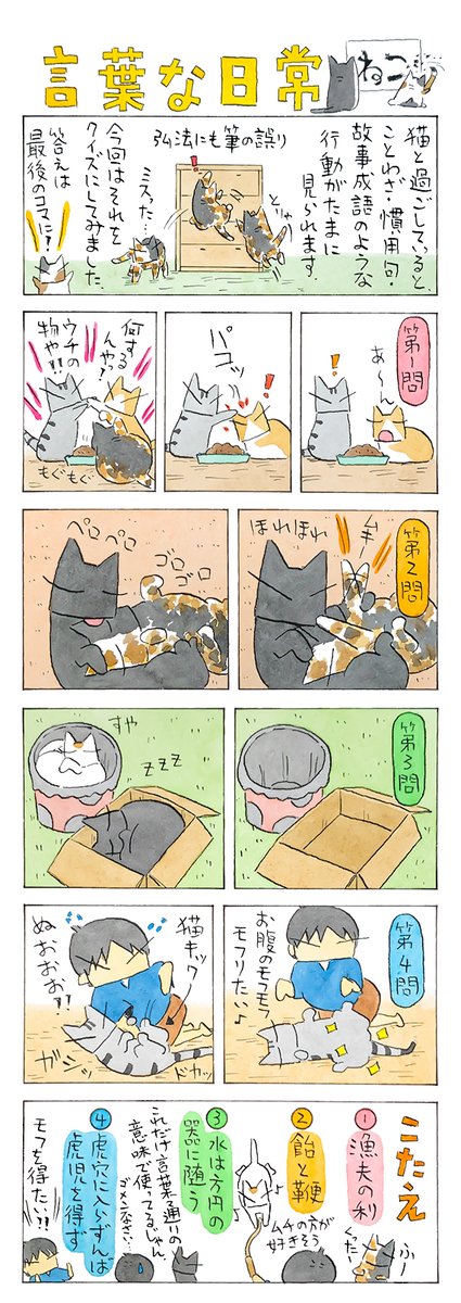 クイズ! 猫景色│フェリシモ猫部 https://t.co/OHVn4pGorY 