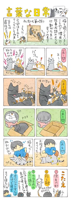 クイズ! 猫景色│フェリシモ猫部 https://t.co/OHVn4pGorY 