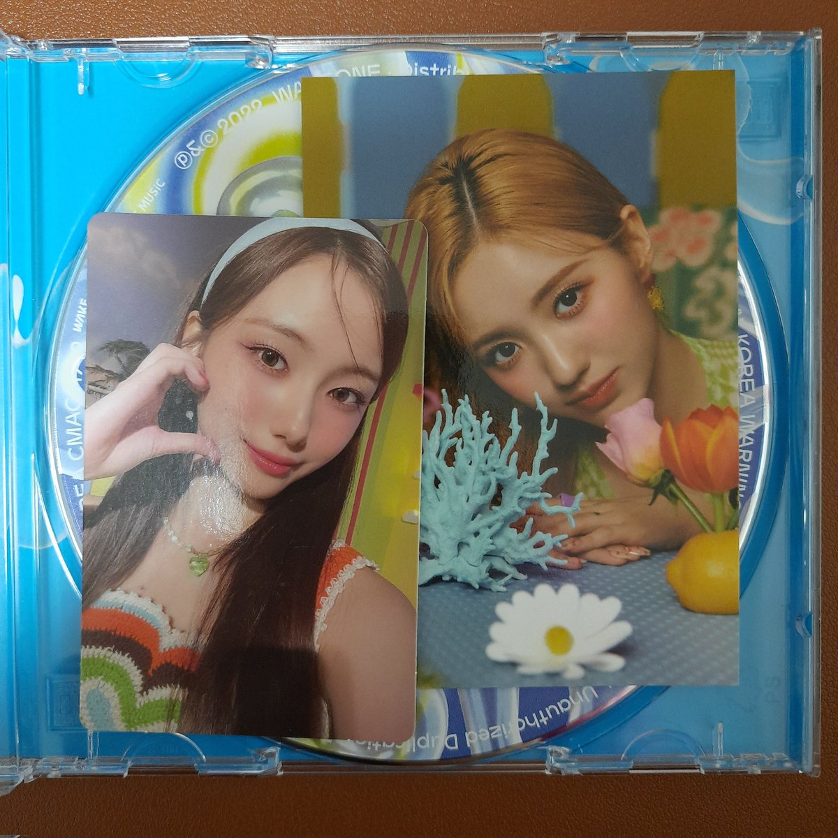 xiaotingsimp's tweet photo. ꒰ kep1er wts lfb ph wtt ꒱ 

yeseo flower blue blast jwc set + youngeun half heart

— onhand
— 500 nego, less 100 if w/o album, less 20 if payo
— also wtt for xiaoting doublast PCs/other inclus, any cheng xiao PCs; drop offers
— mod: ggx, sco https://t.co/JoJcjXwHOl