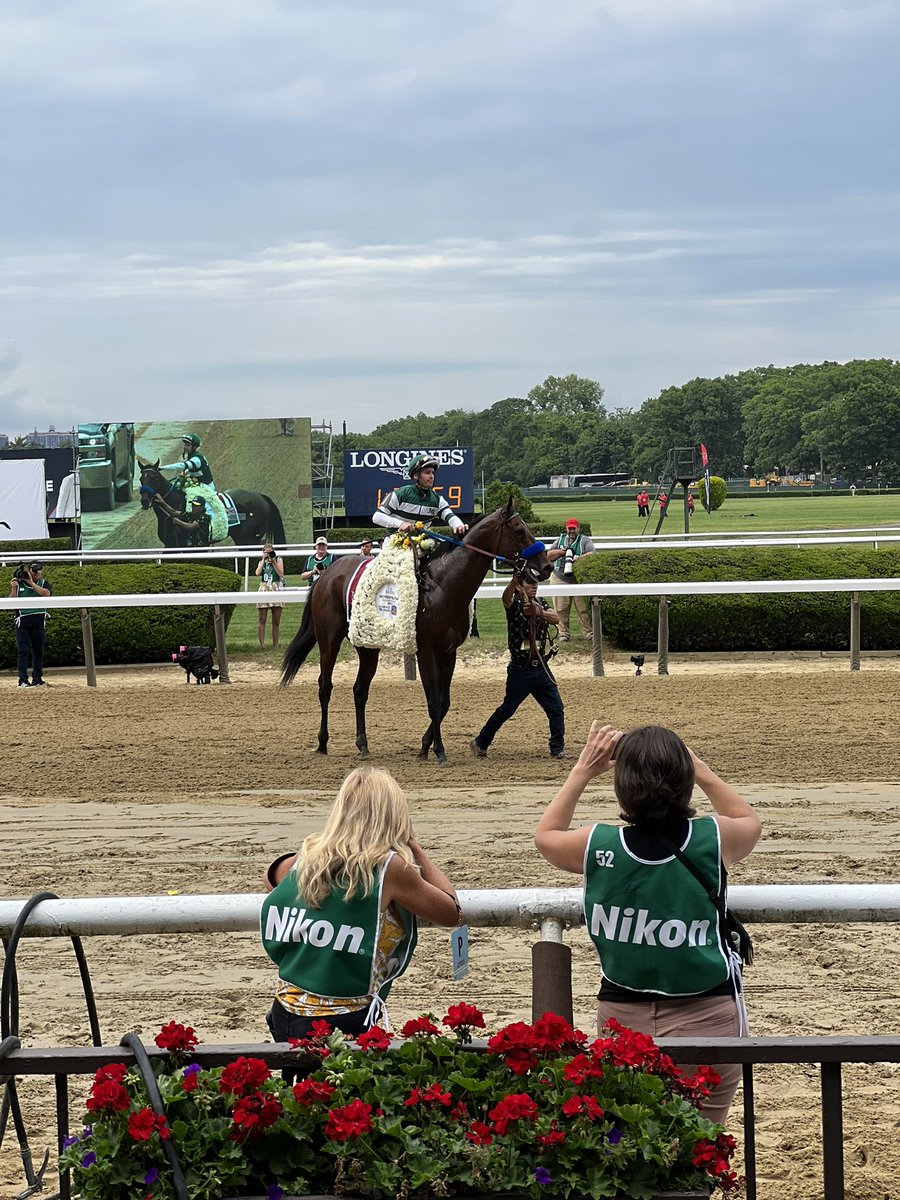 Justify3107's tweet photo. THATS THE BEST HORSE I’VE EVER SEEN! WOWWWWWWWWW OH MY GOODNESS WHAT A FREAK! 🤯🤯🤯#FREAKLINE🐐 https://t.co/qKtWesHod0