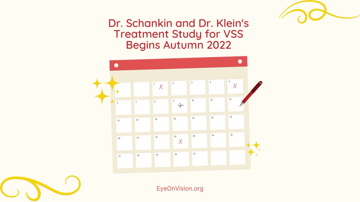 Eye On Vision Foundation tweet media