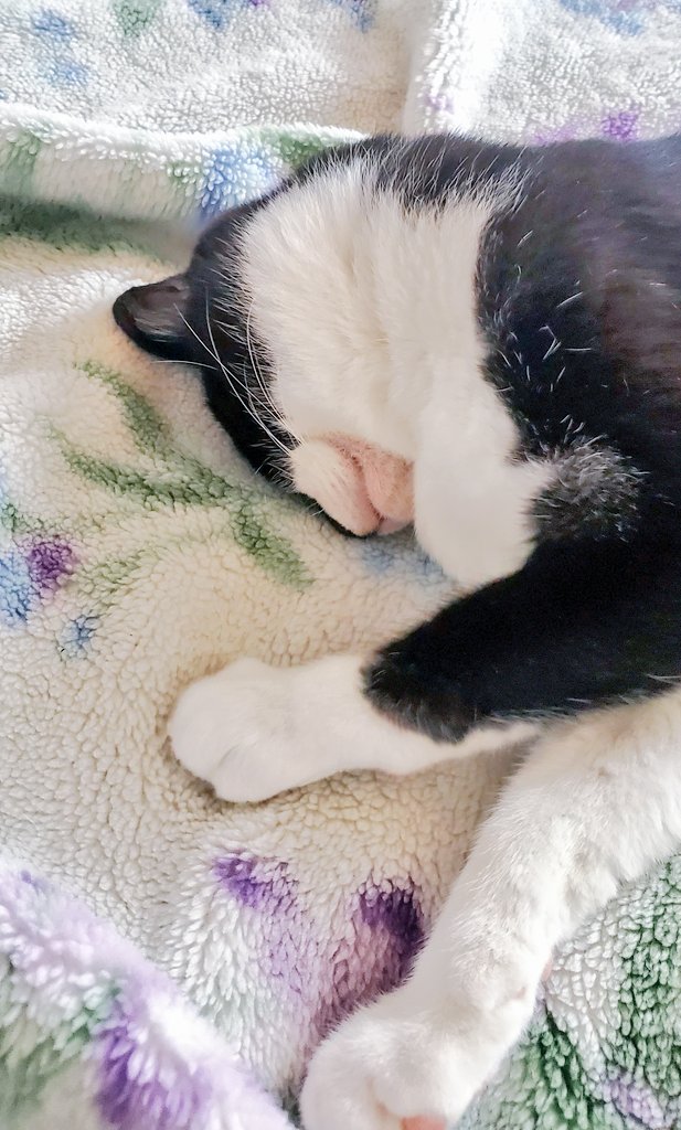 土下座寝 Twitter 搜尋 Twitter