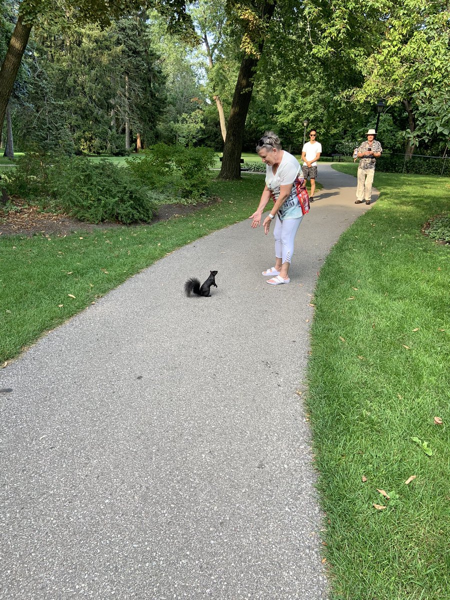 Lindsey Ostrosser (she/her/hers) tweet media
