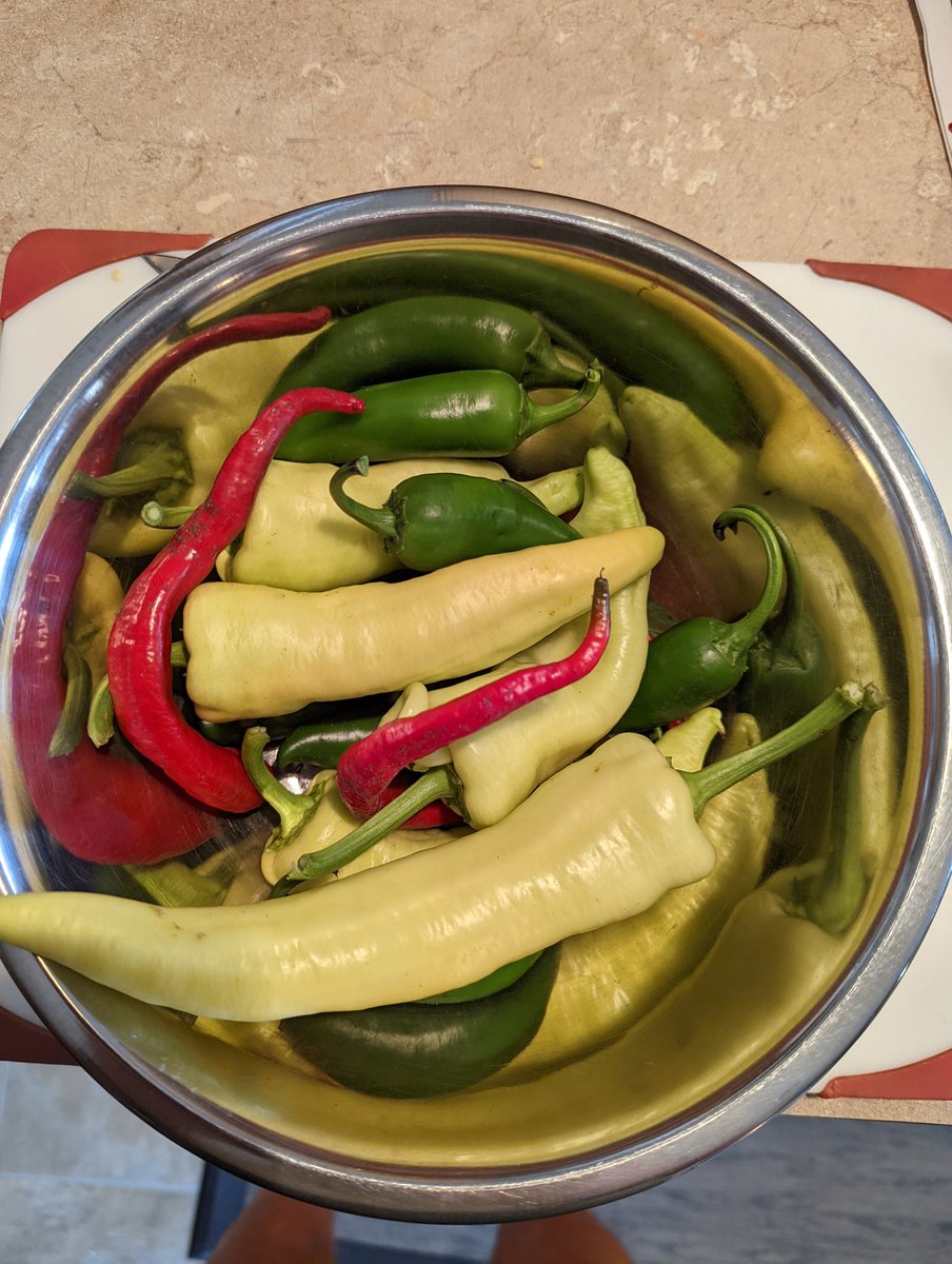 bokeybloomsfarm's tweet image. Making a batch of hot pepper Haskap jam and using peppers from our garden.  We have a variety of preserves and lots of frozen berries available,  just stop by to pick some up. 

 #t8n #yegshoplocal #edmontonmade #supportlocalyeg #supportlocalt8n #yegbiz #yegfruit