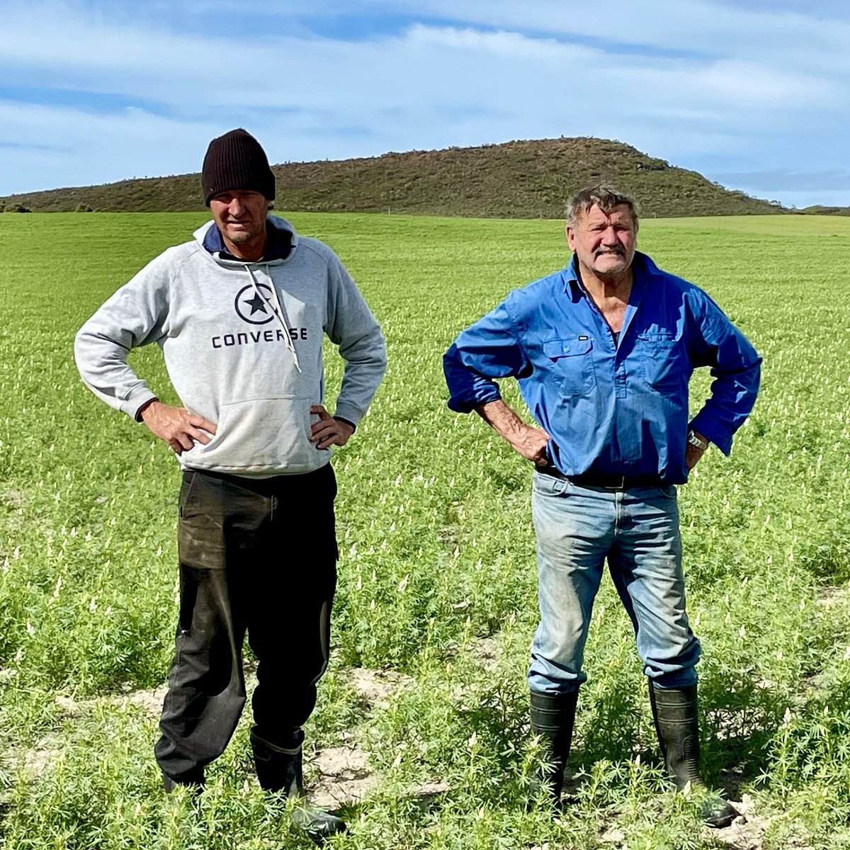 mailchi.mp/f0b440a11523/k…