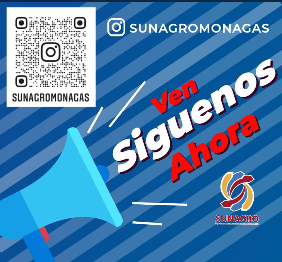 NotiPalma tweet media
