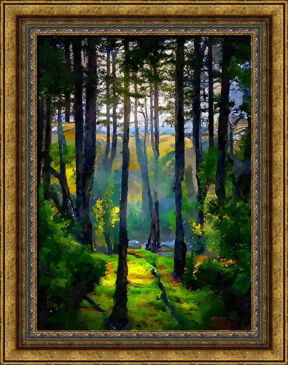 cryptoshield tweet media