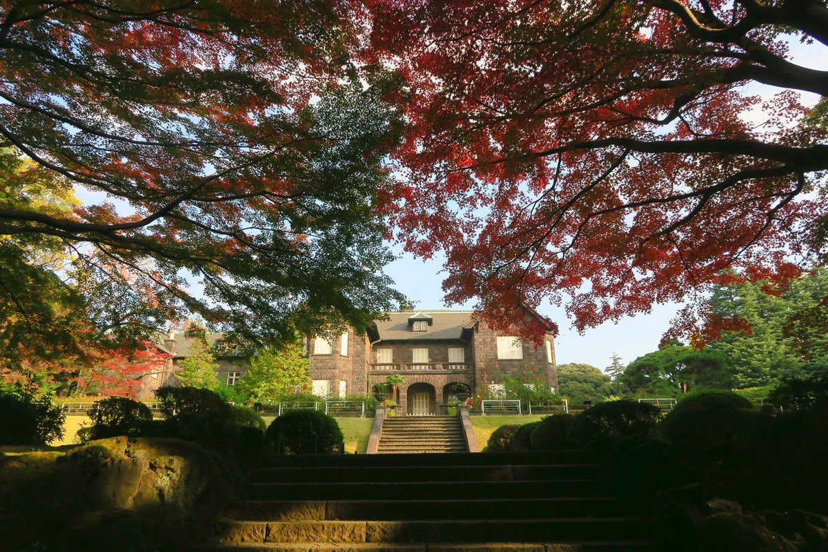 kyufurukawa's tweet photo. The first autumn foliage event in a long time! It is the time of year when both autumn leaves and roses can be enjoyed at Kyu-furukawa Gardens. Enjoy the autumn foliage in both Japanese and western styles, unique to this garden!
#kyufurukawagardens #autumnleaves #rose #garden https://t.co/eg6HHGFaOf