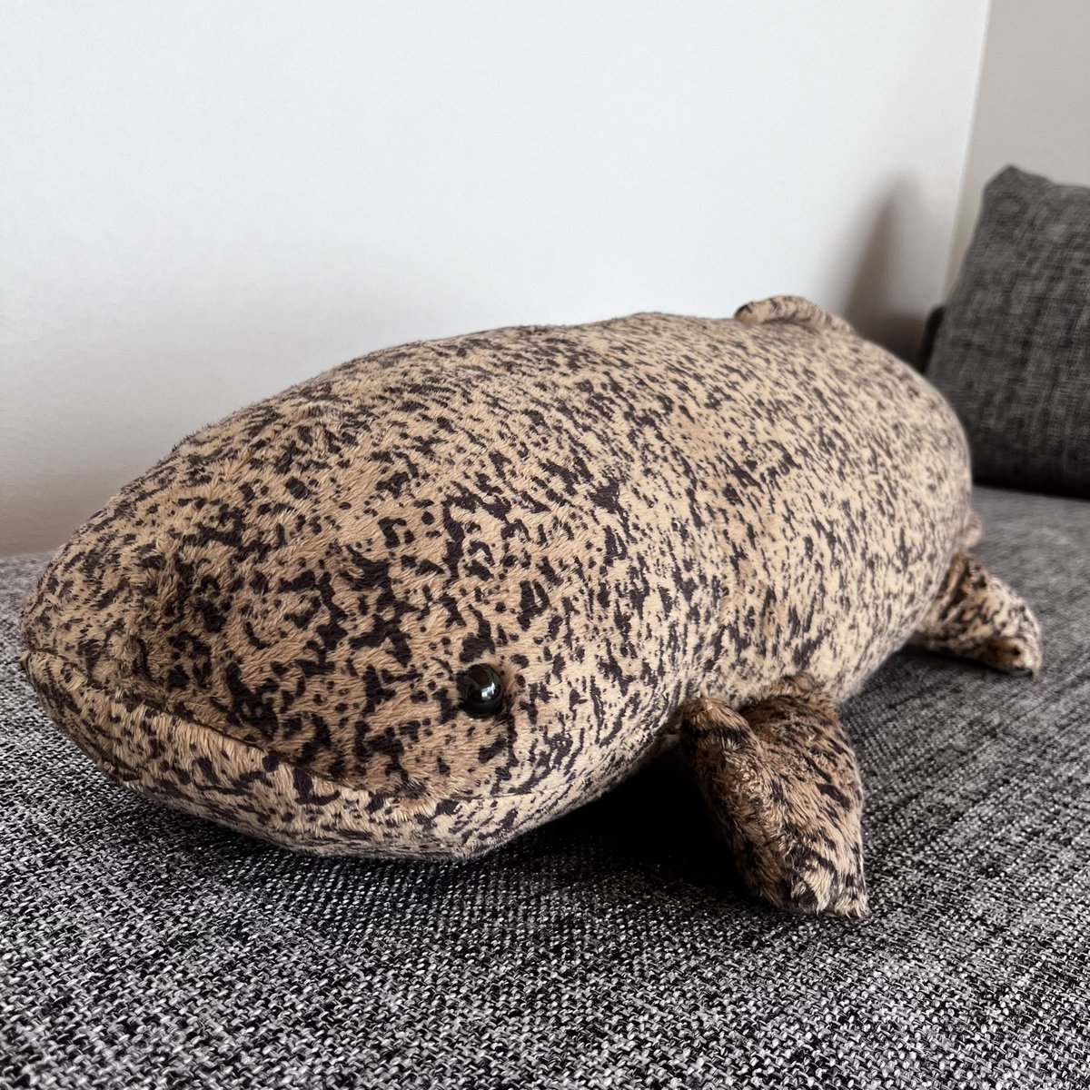 オオサンショウウオ様専用 Visitmangystau Kz