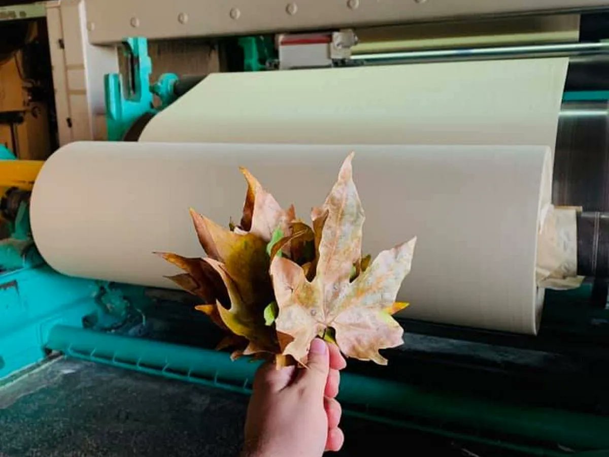 EcoInventos's tweet photo. Estudiante ucraniano crea sistema para convertir en papel las hojas caídas de los árboles y así evitar su tala.

https://t.co/mD84Vx8z1F https://t.co/xKKqO6b5Nz