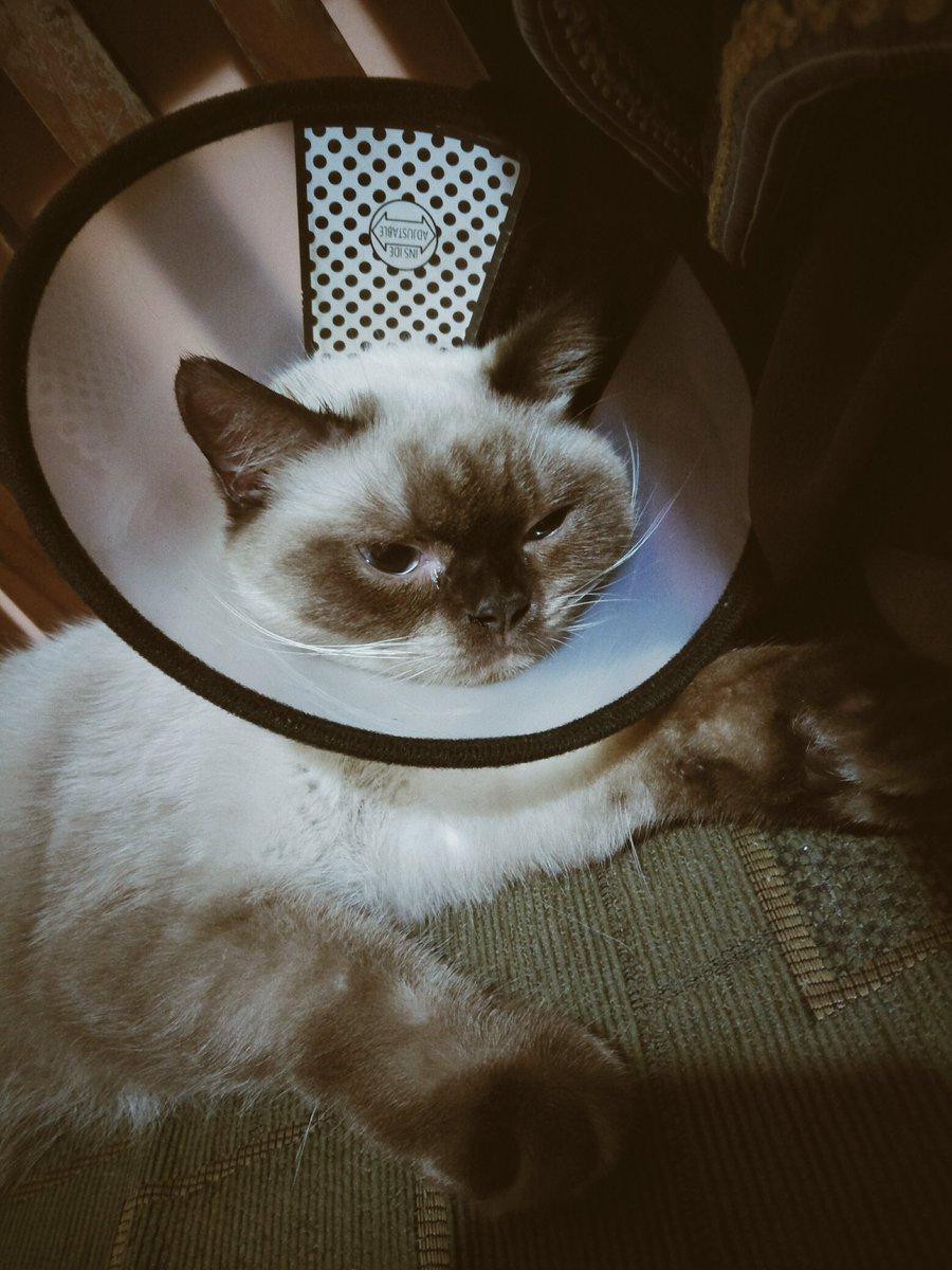 95millroad's tweet photo. yesterday's pictures, lately sosmed really distract me A LOT so i decided to deactive all of my sosmed for a while see u moots! https://t.co/BSTQiFYsMR