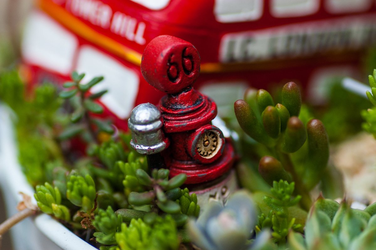 alibi5753's tweet photo. 昨日買いました #nikond100 にタムロン90マクロで遊んでみました
20年前の600万画素CCD…いいじゃない😁
センサダストが気になるけど専用のACアダプタがないとミラーアップできない💦
さてどうしたものか…
Nikon #d100 + #tamron90mm
#72E
#オールドデジカメ https://t.co/GDKuOpeNHr