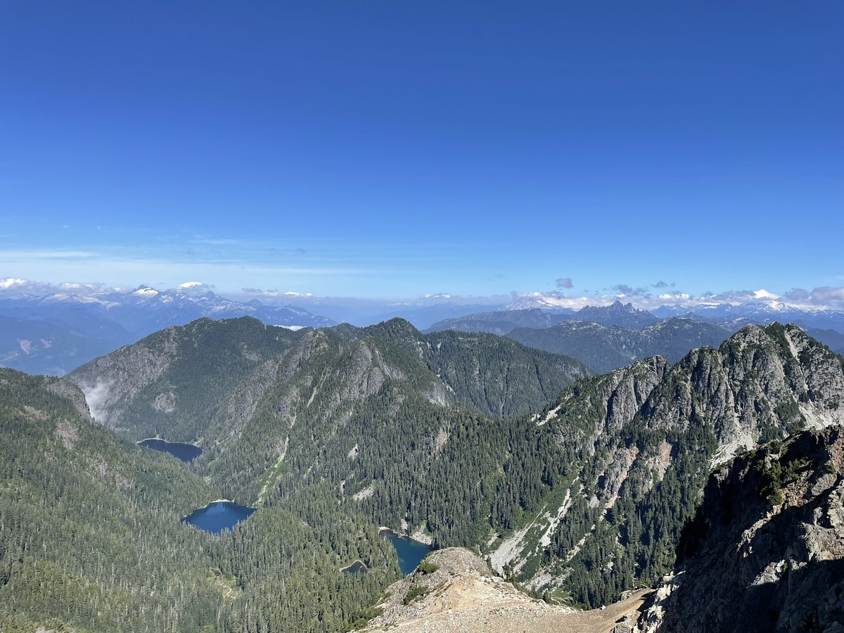 James Taylor tweet media