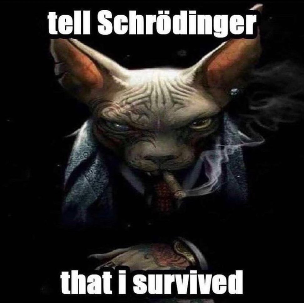 ScottMagnus8's tweet photo. @TweetsOfCats https://t.co/6hZ96EG3zR