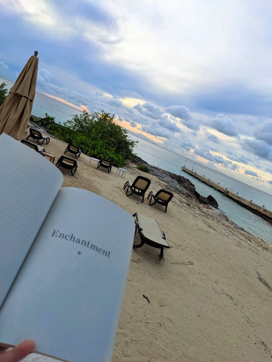 Wicccat's tweet photo. #ReadingWithAView @GilbertLiz https://t.co/e1dTx7Ory2