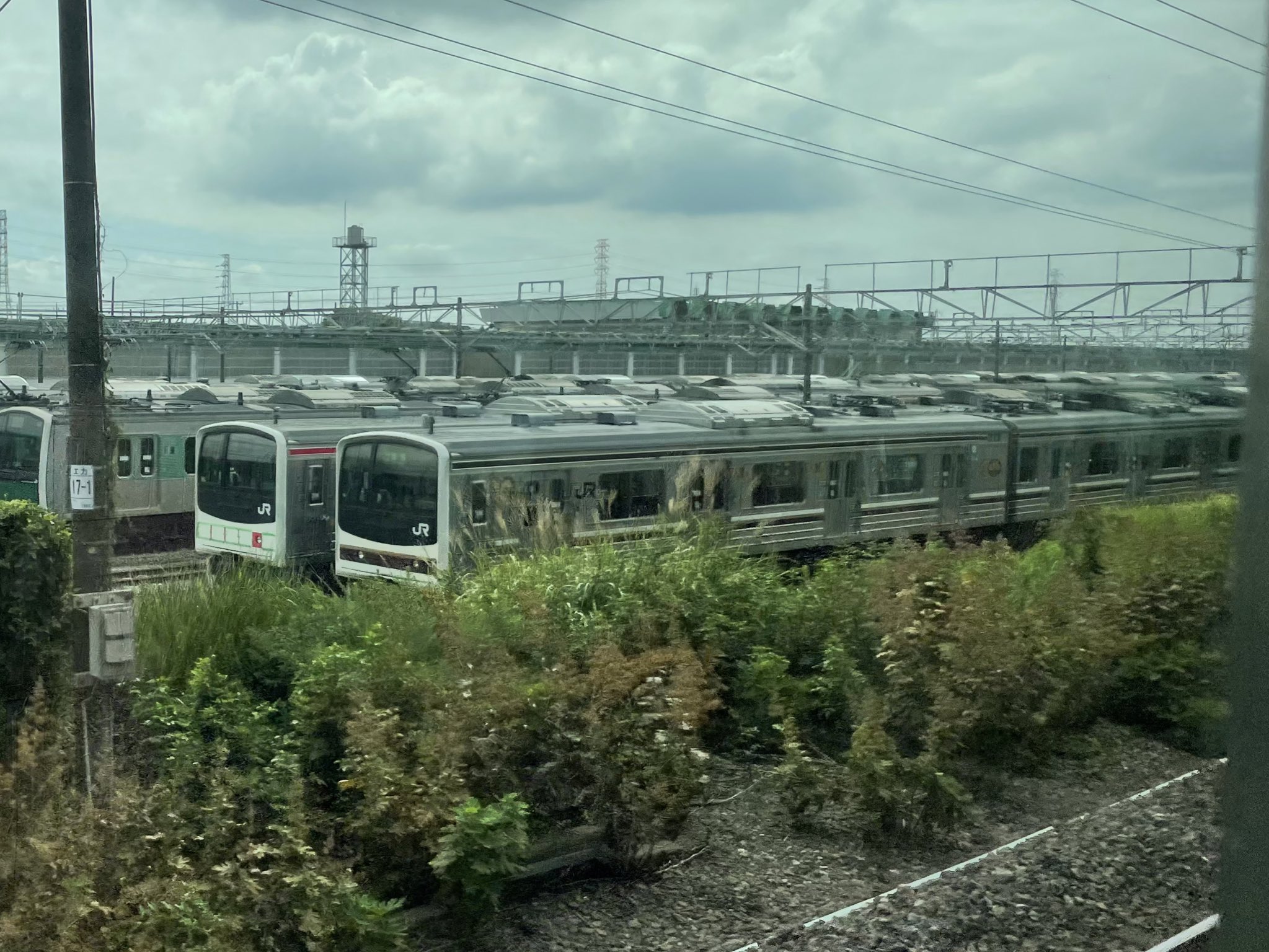 さつきちゃん on Twitter 