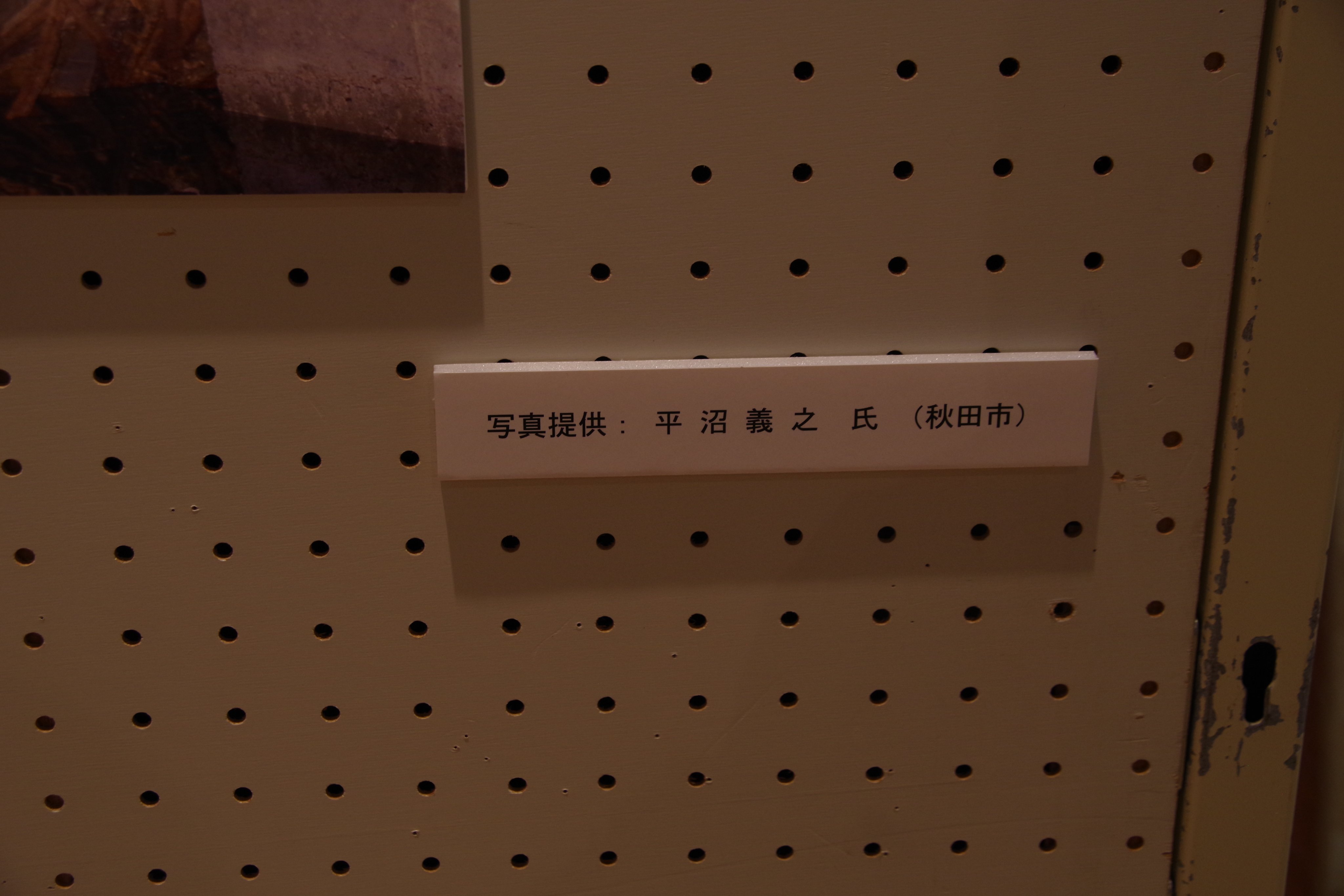 ヨッキれん／平沼義之 on Twitter 