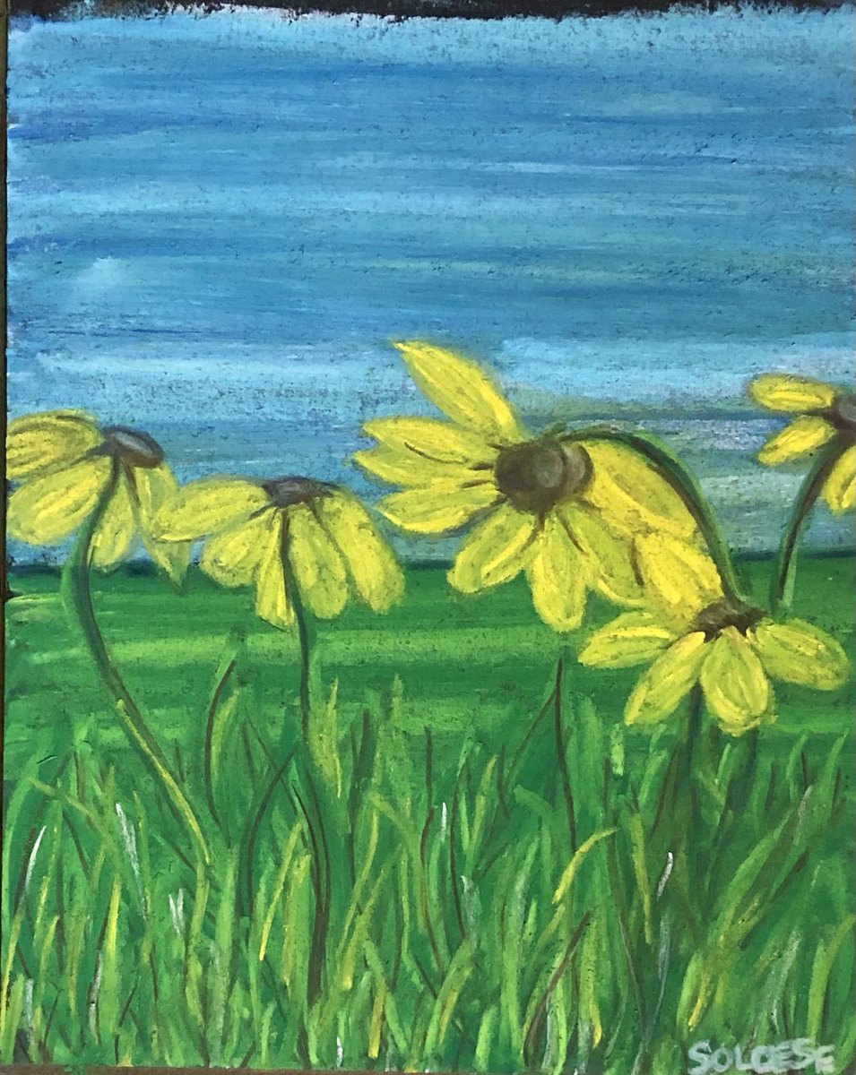 LochnKeys's tweet photo. More Black-eyed Susans #pastel #HappySaturday https://t.co/wX6kICwbyX