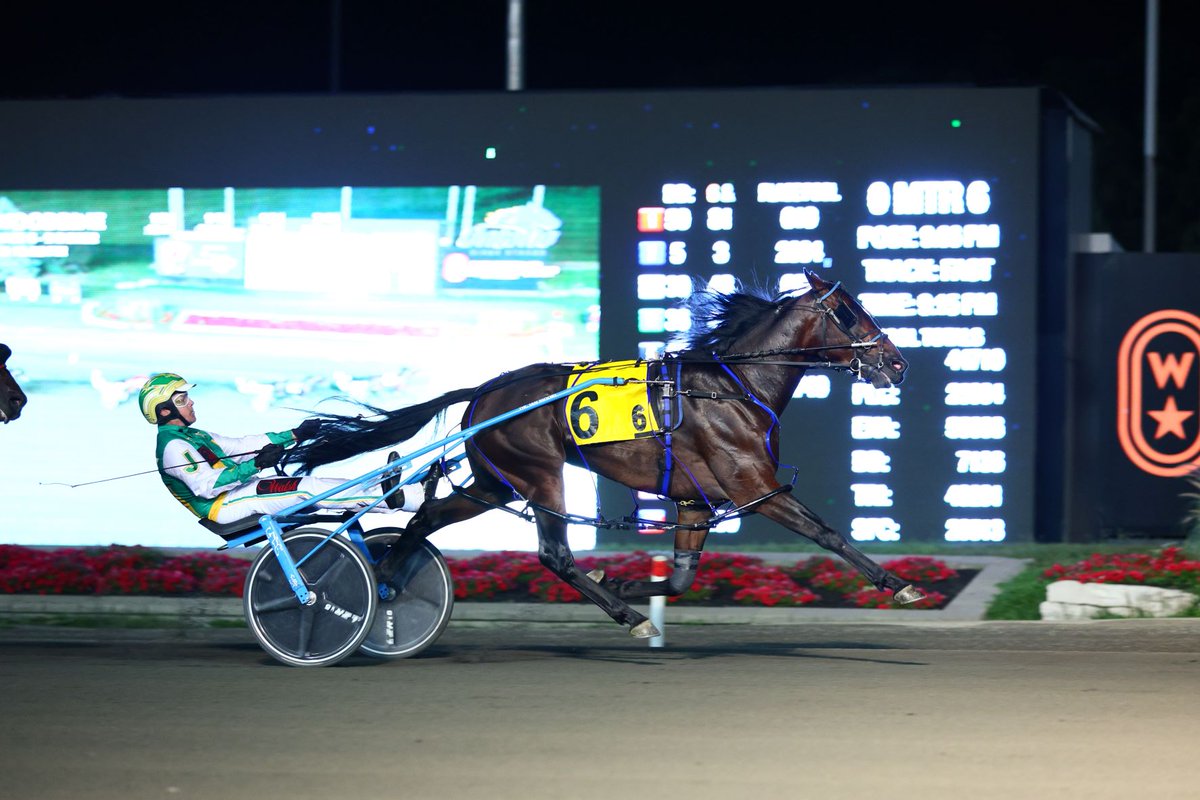 ONTSSNews's tweet photo. Stockade Seelster’s undefeated two-year-old campaign continued in style tonight at Woodbine Mohawk Park.

The State Treasurer colt pacing the fastest mile in Ontario Sires Stakes history by a freshman.

RECAP: https://t.co/ai1dwnnaof https://t.co/VJSBo7kg7j