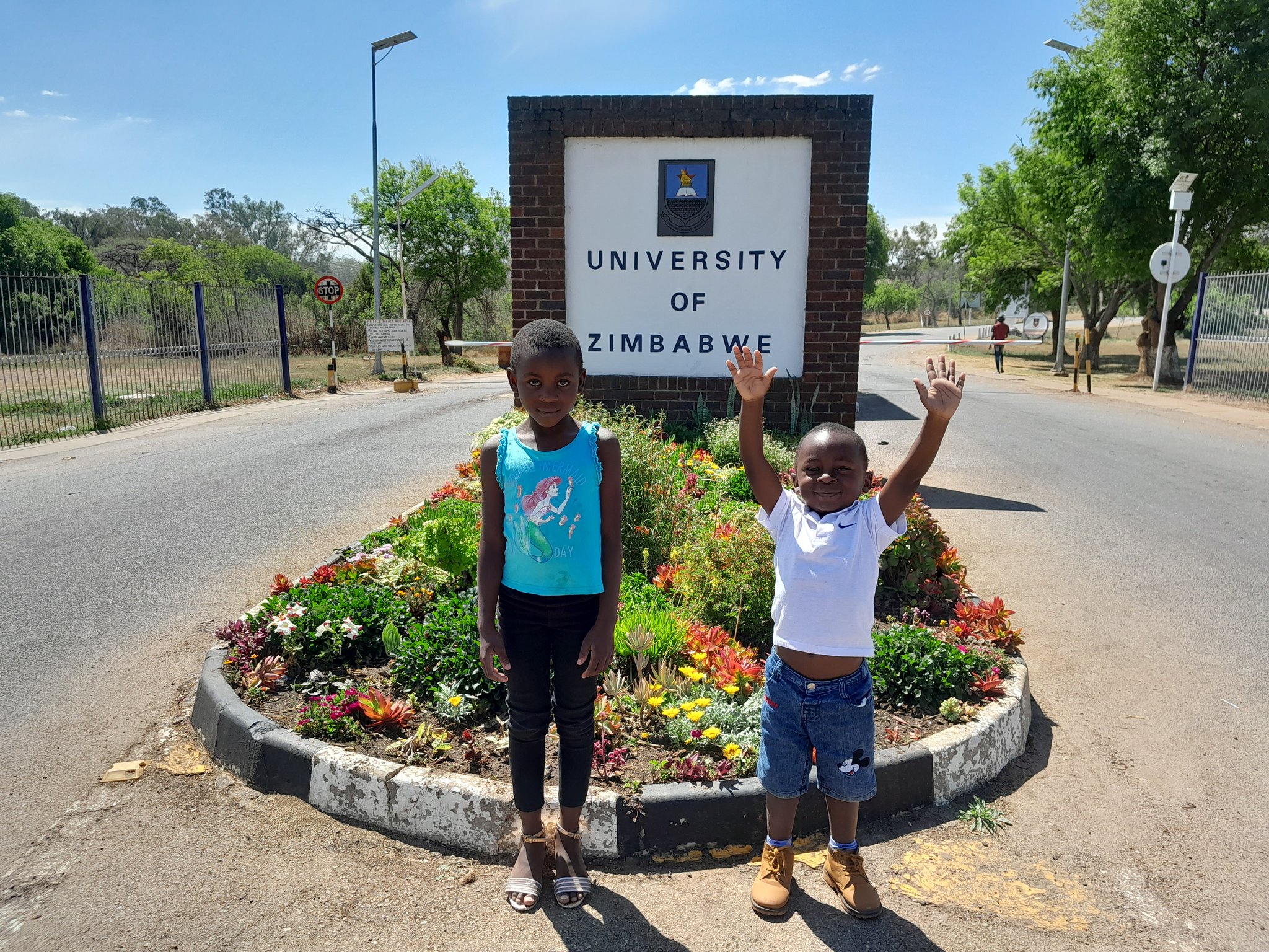 See How You Track Your Application At The University Of Zimbabwe: How