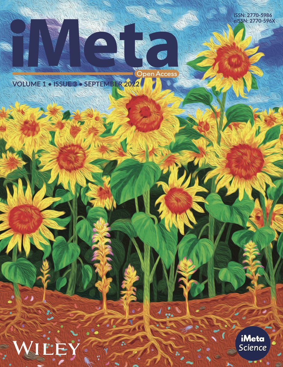 iMetaScience's tweet photo. The Cover of iMeta Volume 1, Issue 3 is out!! Sunflower Orobanche Microbiome: Prof. James M Tiedje and Prof. Yanbing Lin's team investigated Sunflower-Orobanche-microbe interaction and identified key bacteria in the prevention and control of Orobanche parasitism. https://t.co/Iolnhdg2g6
