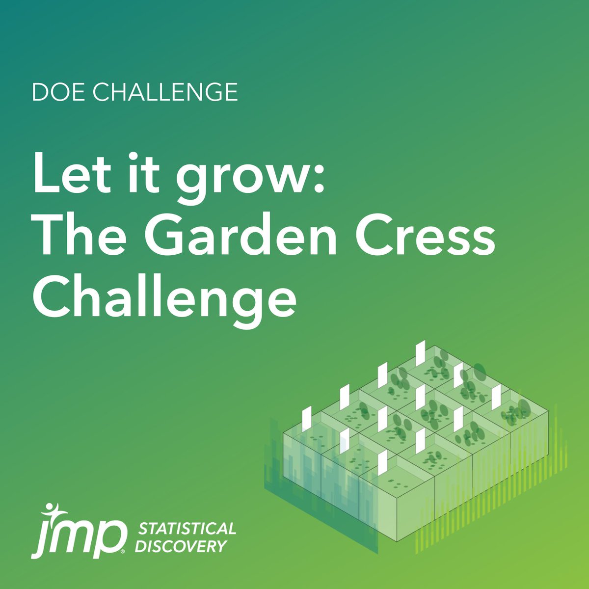 JMP_Europe's tweet image. We are extending the Garden Cress Challenge to 16 September. So now you still can conduct a fun experiment AND grow some garnish for your lunch 🌱 📊 

Read more and sign up here ➡️ bit.ly/3TJ24MM

#JMP #JMPDOEchallenge #summer #statistics #DesignofExperiments