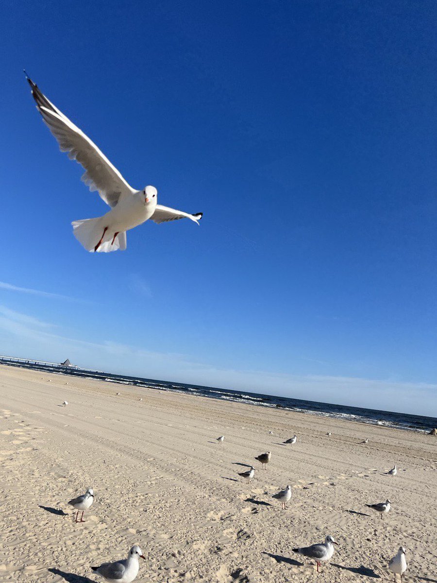 MandySachsen's tweet photo. Frühstück am Meer. Schönen Sonntag noch. https://t.co/aSDNSW2bKx