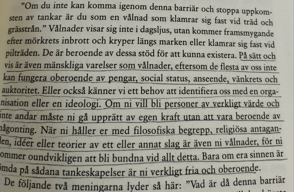 Sofiahillevi's tweet photo. Läser om Zens tre pelare. https://t.co/XCRupm8un7