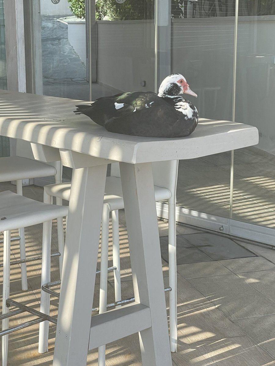 Paul Lawson tweet media