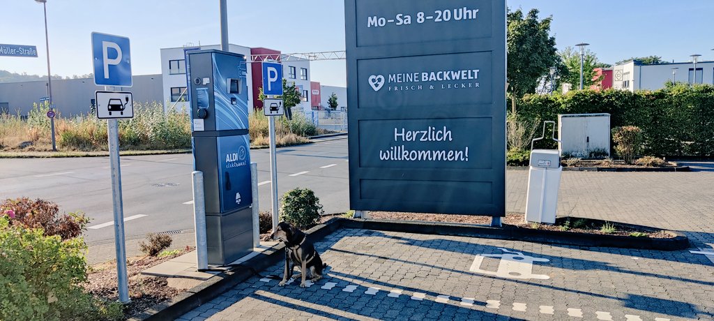 Das ist die größte AC Ladestation die ich je gesehen habe. Der KK Leser ist ungefähr auf 1,80m Höhe, das Display und der Zähler zur Eichrecht-Kontrolle noch darüber. 😂
So viel zum Thema Barrierefreiheit. 😢
#ALDI #emobility #compleo #wallbe