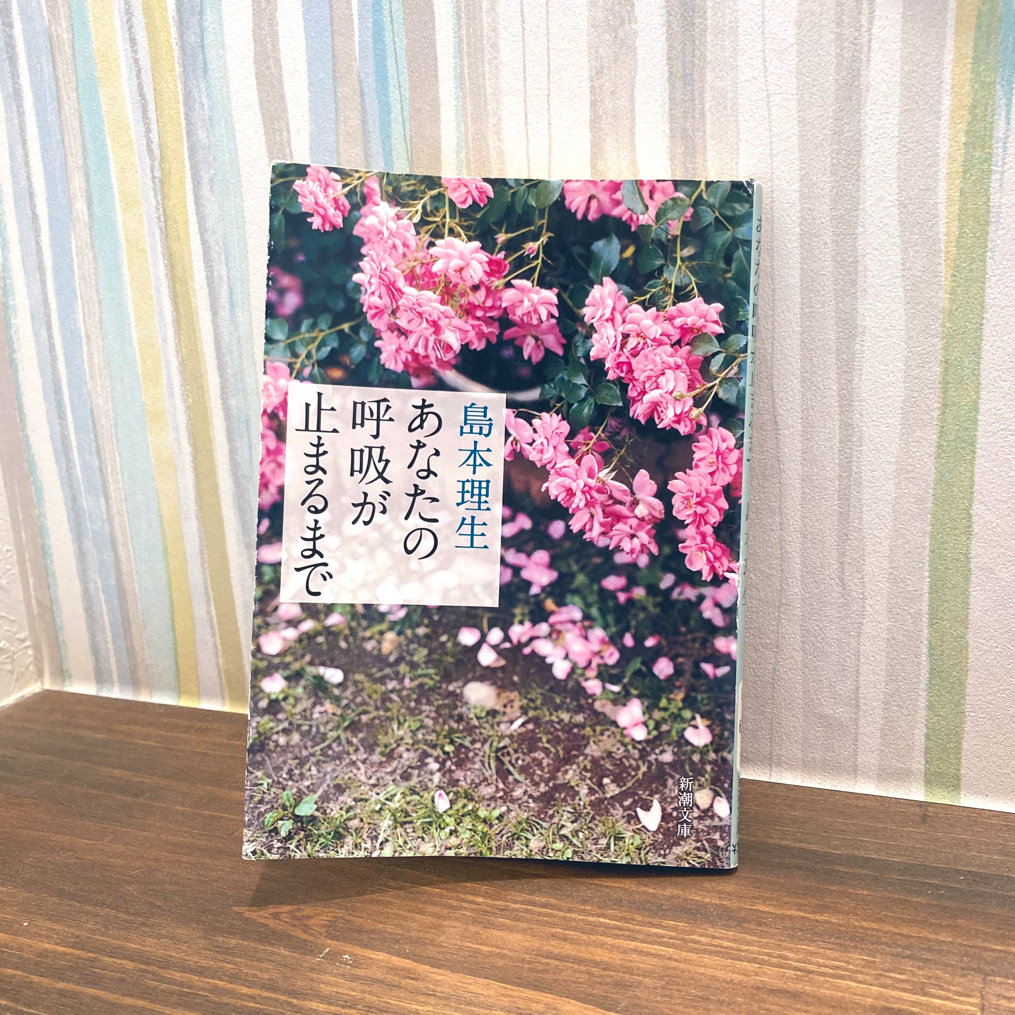 井嶋ナギ Nagi Ijima Twitter