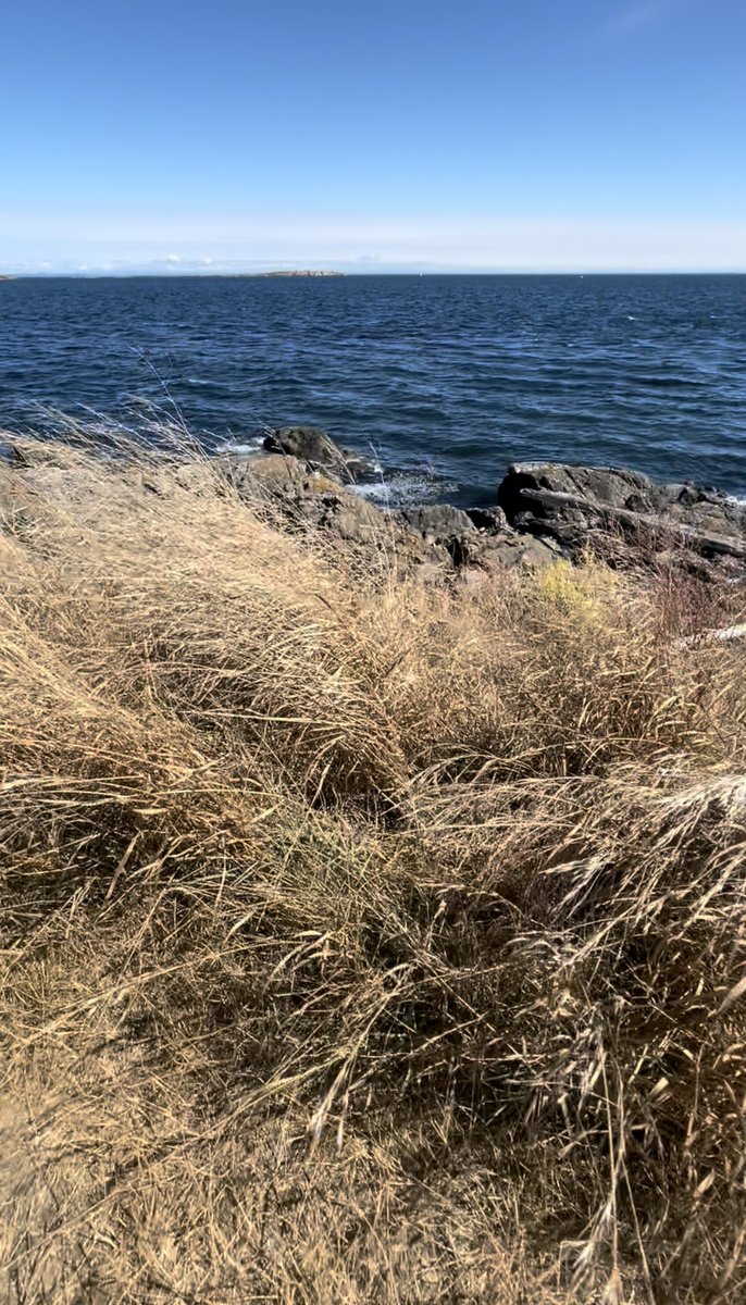 Tara Randall tweet media