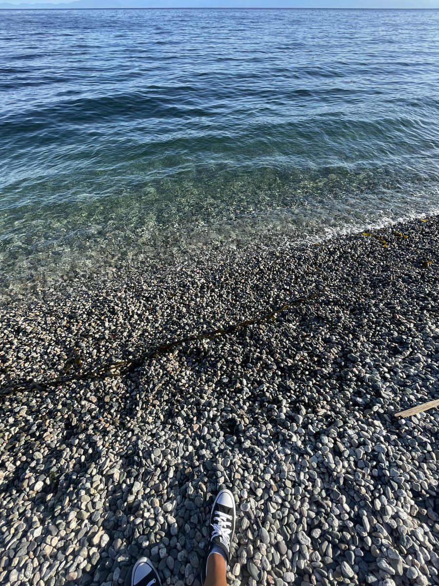 Tara Randall tweet media