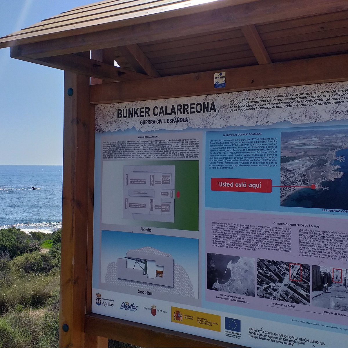 Bea Beach Hostel tweet media
