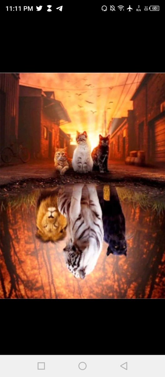 mandelandepeh's tweet photo. How you see yourself matters. https://t.co/Ntw0pE1DPb