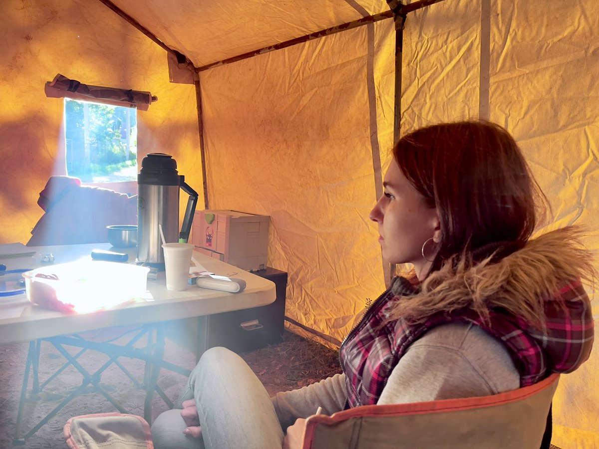 Почему-то на выходных людей в Талдом приезжает меньше, чем на буднях, хотя лес меньше не становится, и Игорь Николаевич всё ещё где-то там. Приезжайте на поиск, проведите это воскресенье с нами!