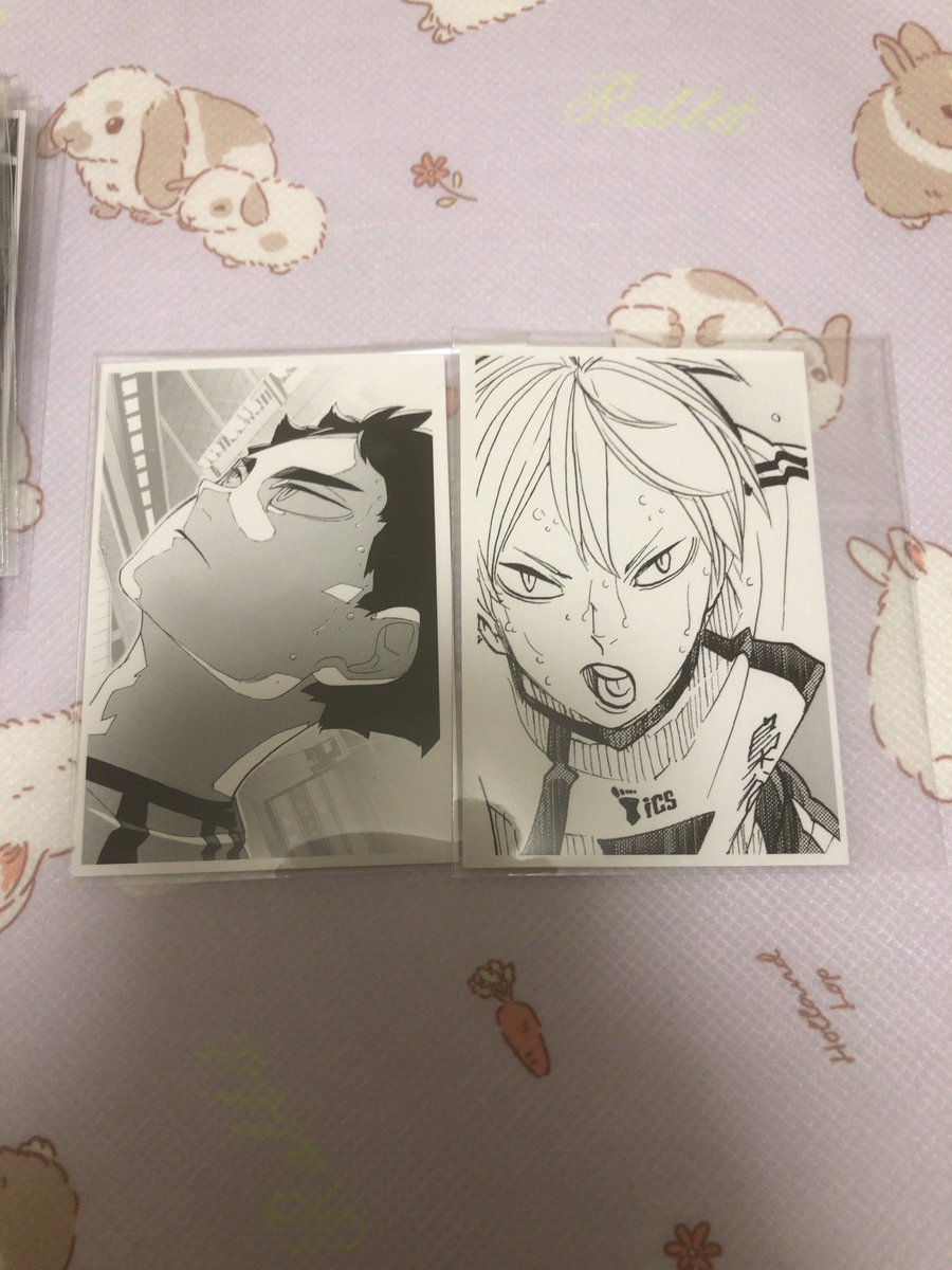 【交換】ハイキュークロニクル

お譲りする物は画像1枚目
(二口のフォトカ)はお声かけ中です。

求めているものは画像2枚目にある
赤葦・木葉です。

検索からのお声かけでも大丈夫です。
よろしくお願いします🙇‍♀️