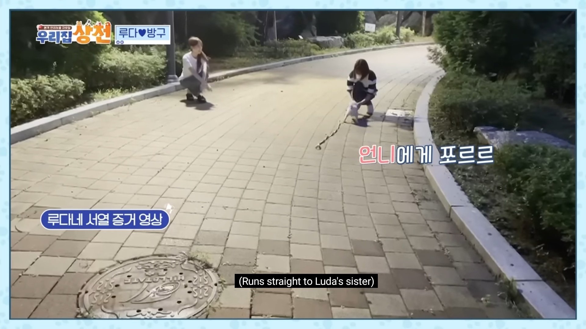 t ♡̶ on Twitter: "So they made a test if banggu will go to luda and im ...