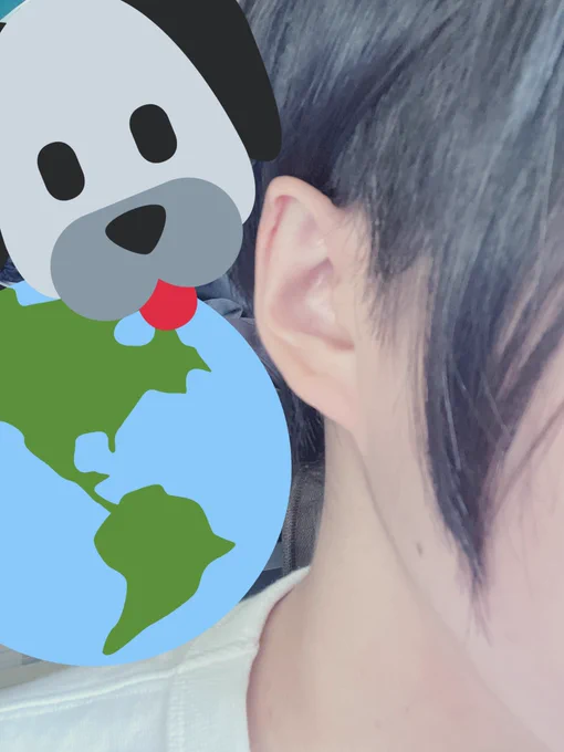 そういや俺の耳尖ってるんだけどこれで学園長そのままやったらおこられるかな 
