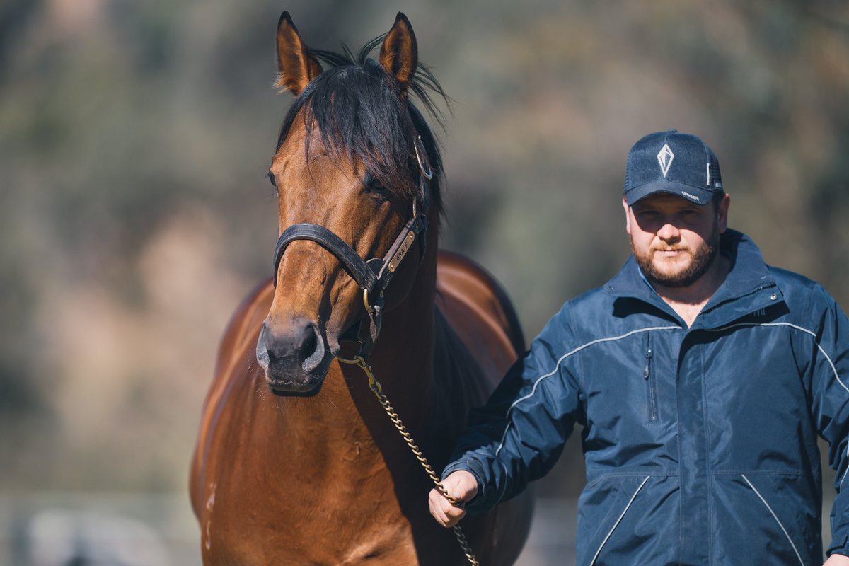 Happy Father’s Day to all the great Dad’s out there! 💎 Another #GRAFF foal born this morning on a great farm <a href="/CangonStud/">Cangon Stud Farm</a>! From winning mare Love Her Madly, who is a half sis to AMPHRITITE &amp; HOLY BLADE - the family of TIVACI. #Graff #headquartersforhindquarters