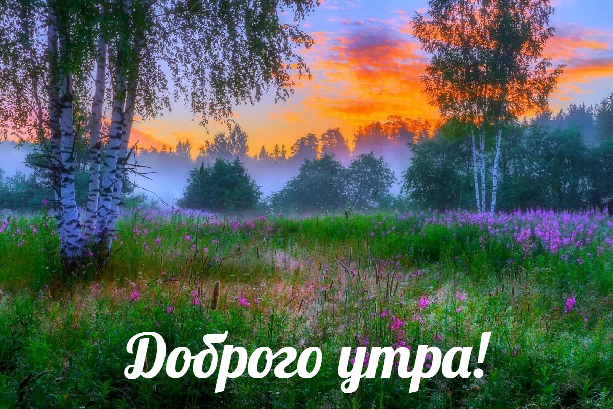 Доброго утра! Удачного дня!