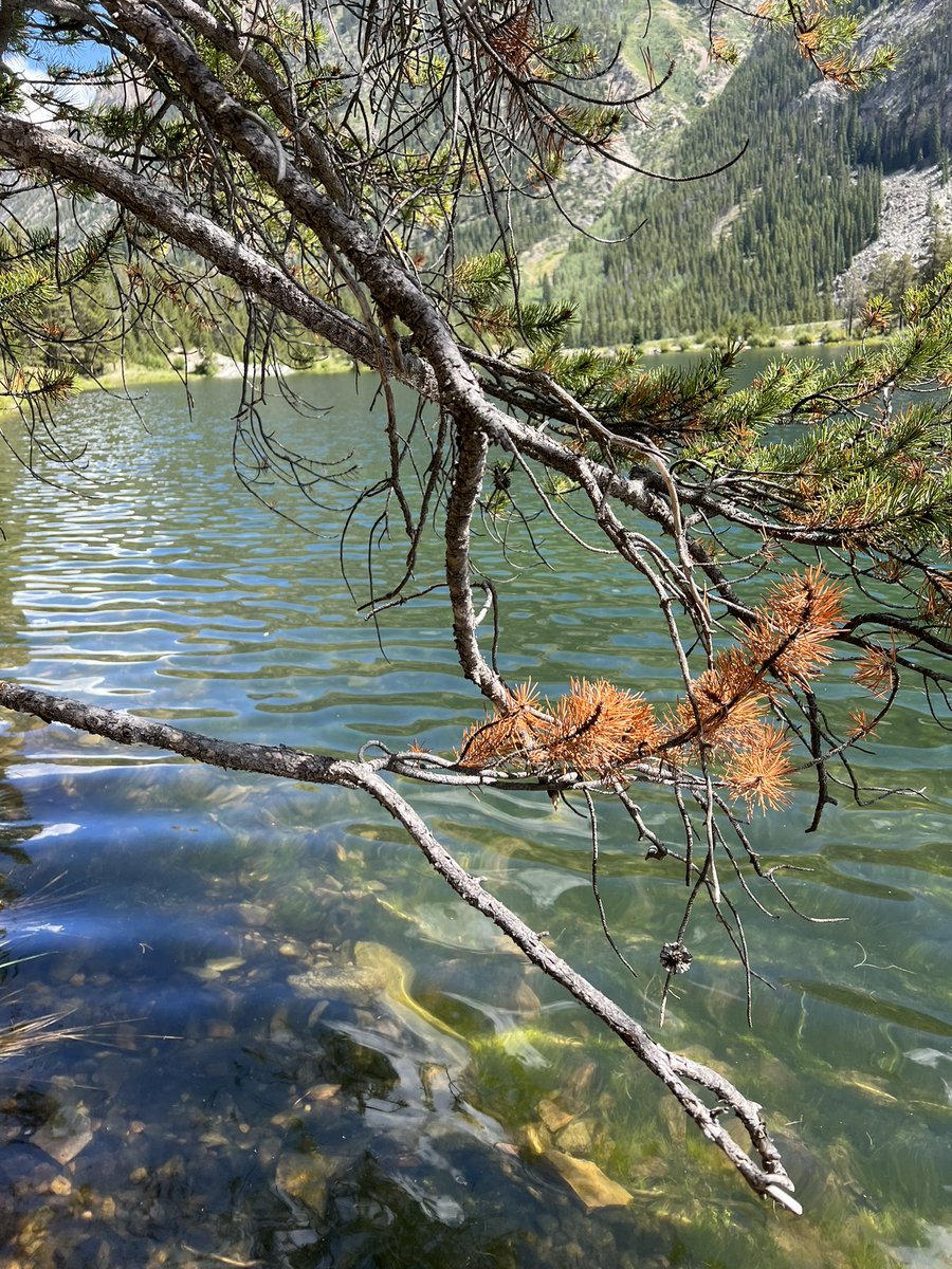 Morena1017's tweet photo. Beautiful #Colorado https://t.co/gGcwdGeH3h