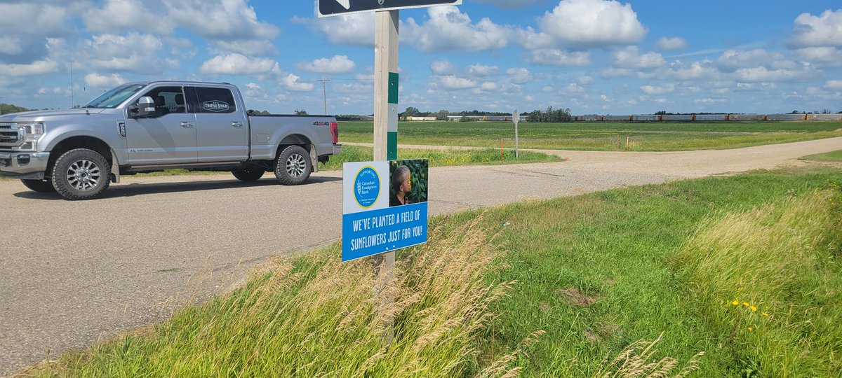 Focusfields's tweet photo. I forgot to mention in my earlier post a special thanks to Tirzah from Baker Colony for donating the signage to help guide people to the field. https://t.co/ijxG44sg99