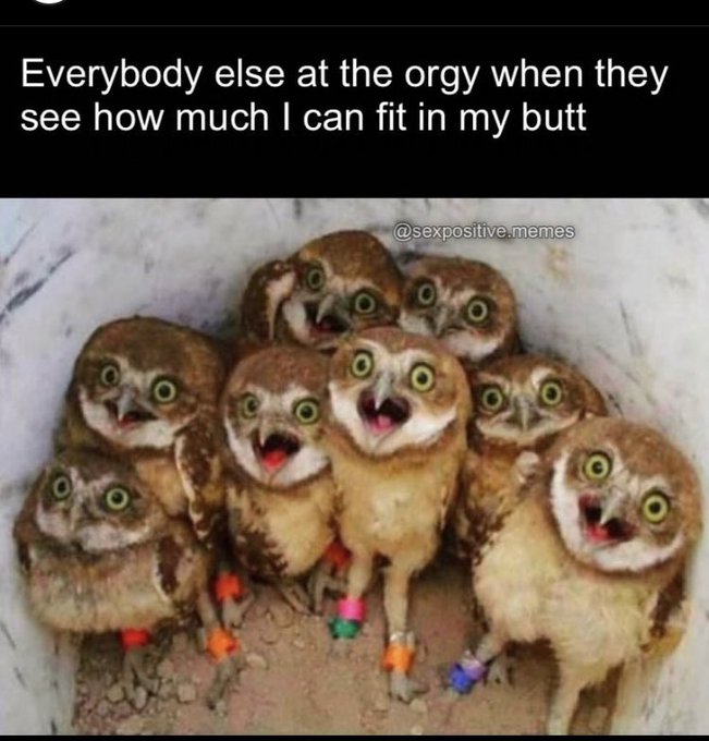 Amiright? https://t.co/SuLvGHd2yx<a href="/tag/newprofilepic"class="tags"><span>#newprofilepic</span></a>