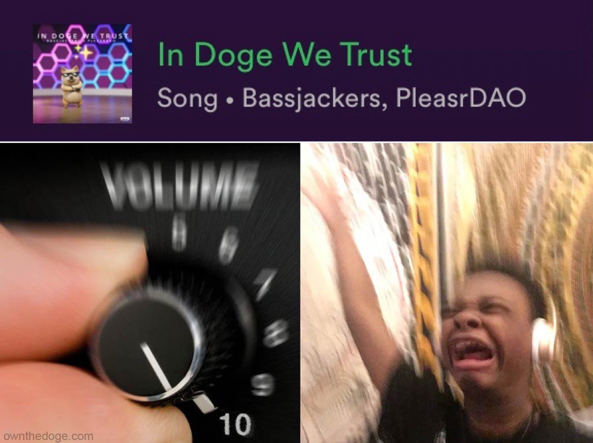 Own The Doge 🐶🖼 tweet media