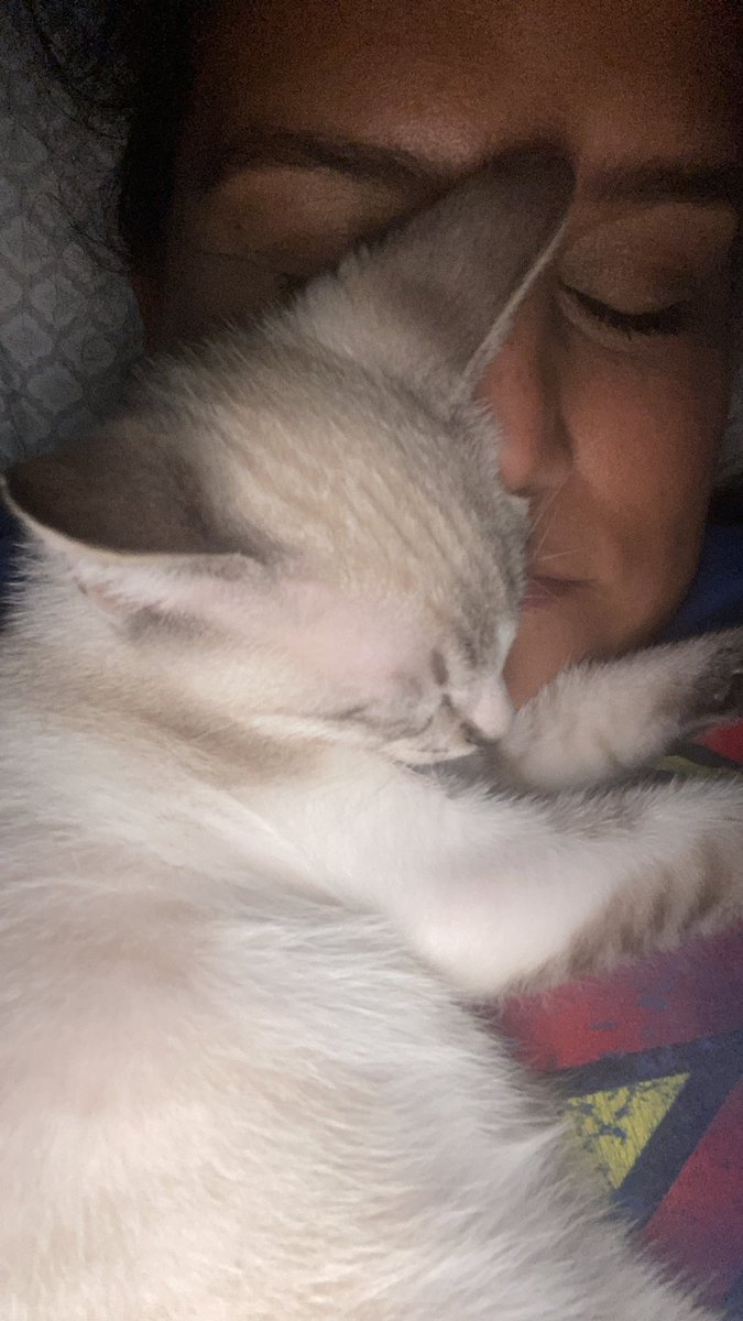 MoreMedRa's tweet photo. Me iba a dormir pero hay un pequeño detalle. #LeGate https://t.co/WK1vbRJXot