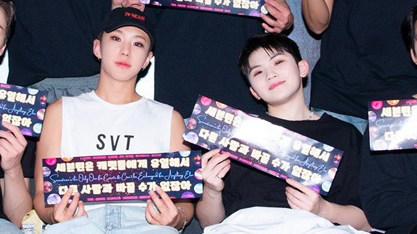 #NowSVT but make it hoshi woozi combo