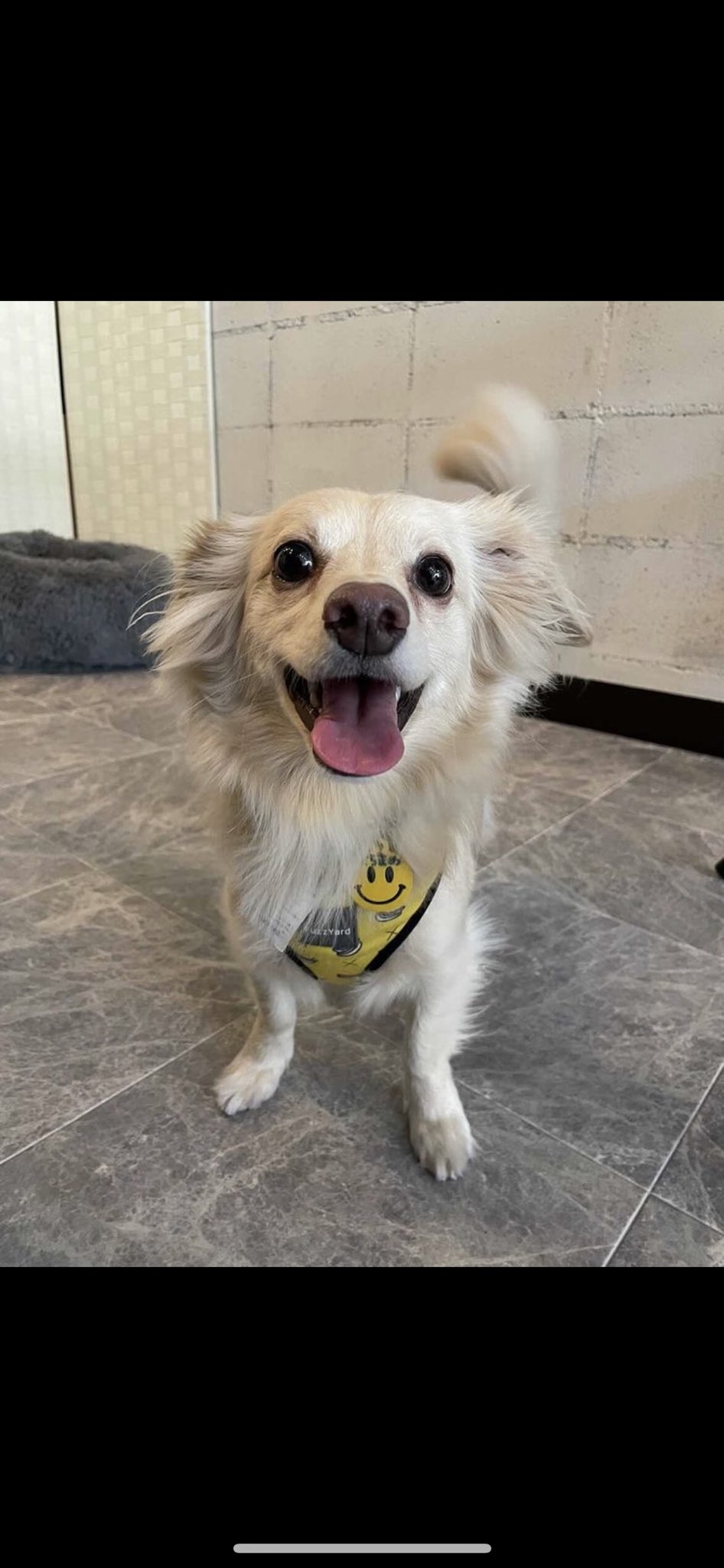 そら豆 05soramame31 Twitter