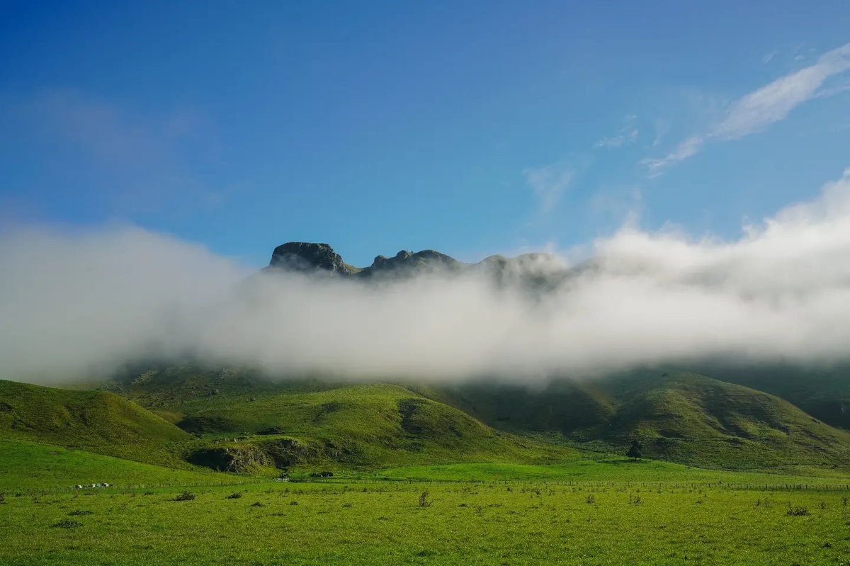 GTGHHawkesBay's tweet photo. 📷 by @revinjoseph: "Foggy morning at Te Mata peak"

#fog #mist #naturephotography #natgeoyourshot #nature_lovers #nature_brilliance #nature_perfection #thevisualcollective #globalcapture #artofvisuals #igpodium #weekly_feature #gallery_legit #stayandwander #beautifulmatters https://t.co/sy2L3ldTgk