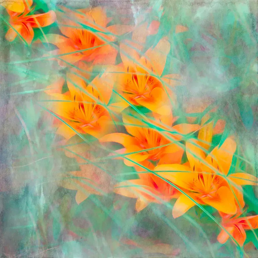 Tiger Lilies - GET IT HERE: bit.ly/3KEsyLg #flower #floral #art #artwork #artist #ArtistOnTwitter #wallart #homedecor #summer #BuyIntoArt #FindArtThisSummer